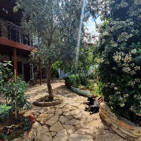Antik Apartment